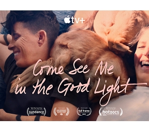 Come See Me in the Good Light poster